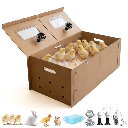 Extra large chick brooder - large, 33"